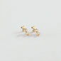 Pendientes largos n.13 (cristal/dorado)
