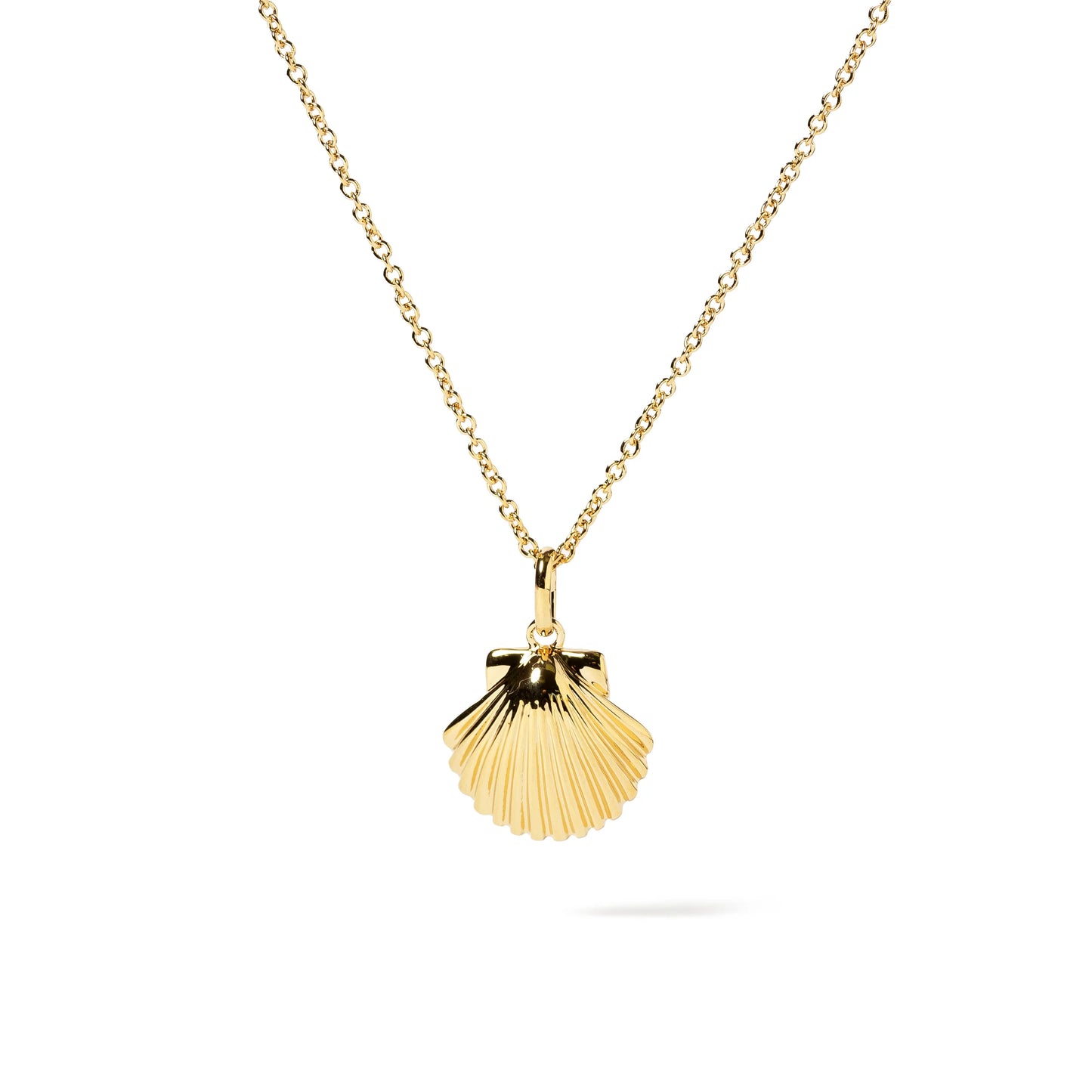 COLLAR CONCHA GOLDEN