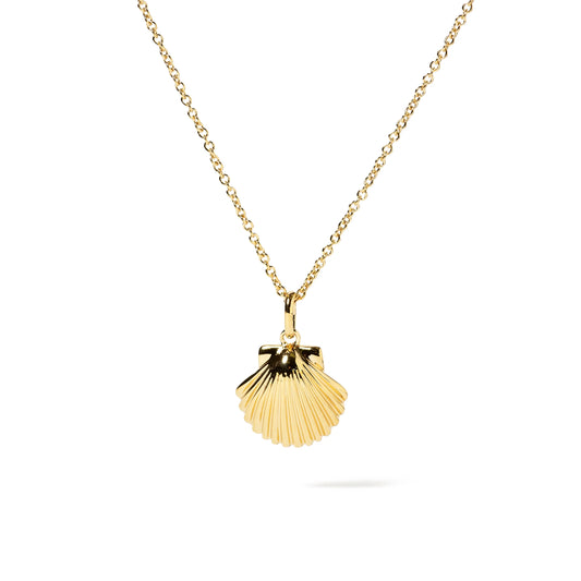 COLLAR CONCHA GOLDEN