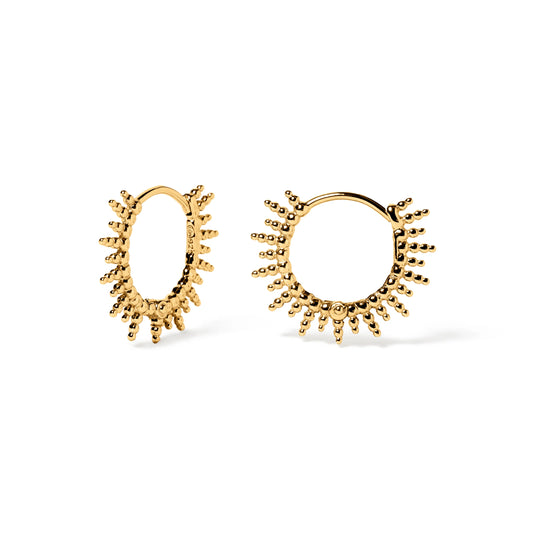 CRIOLLAS CHLOE GOLDEN