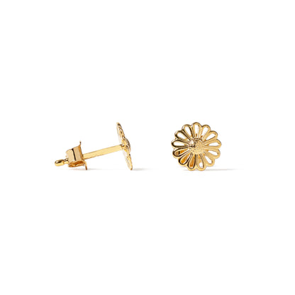 ARIES GOLDEN
