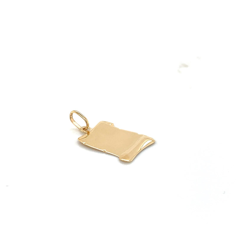Placa Pergamino(23x19mm) oa