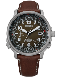 Citizen Reloj Cab.